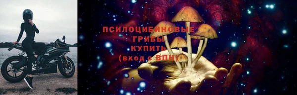 эйфоретик Алексеевка