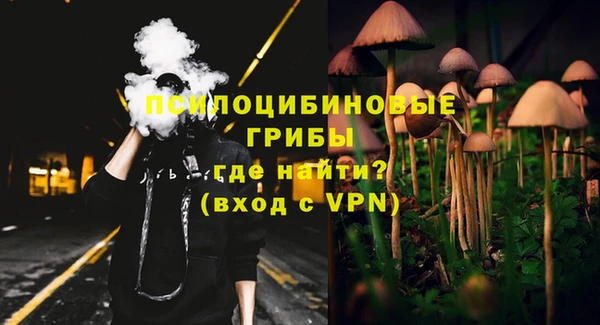 spice Алексин