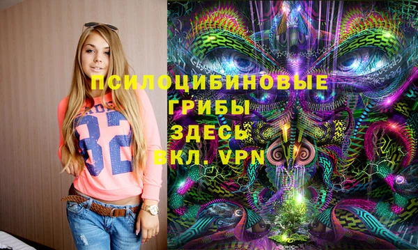 эйфоретик Алексеевка