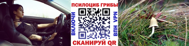 Галлюциногенные грибы мухоморы  Каргополь 